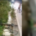 Vídeo: Na avenida das Flores, ciclista morre esmagado por ônibus ‘Amarelinho’