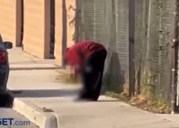 Vídeo forte: homem é preso comendo perna decepada de vítima atropelada na rua