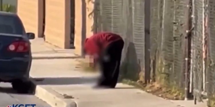 Vídeo forte: homem é preso comendo perna decepada de vítima atropelada na rua