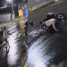Vídeo: Em Manaus, ladrão tenta assaltar dupla de amigos bom de briga e acaba apanhando