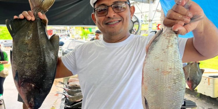 Feirão do peixe em Manaus vai vender mais de 100 toneladas a preço de custo
