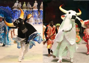 Bois de Parintins se apresentam em Festival de Curitiba