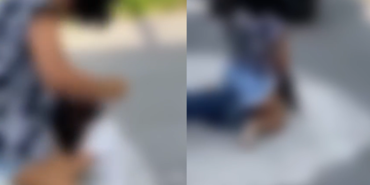 Vídeo: Alunas ‘galeritas’ de escola na Cidade Nova saem no soco e amigas incentivam