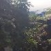 Vídeo: um dia após chacina em Manaus, homem grava tiroteio na janela de casa: ‘debaixo de bala’