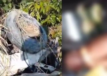 Vídeo urgente: motorista em alta velocidade bate e morre na Av. das Flores