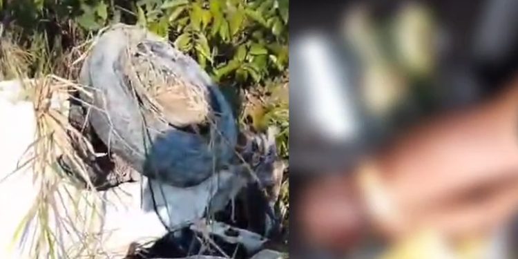 Vídeo urgente: motorista em alta velocidade bate e morre na Av. das Flores