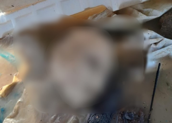 Após tronco, cabeça de homem é encontrada boiando na Manaus Moderna