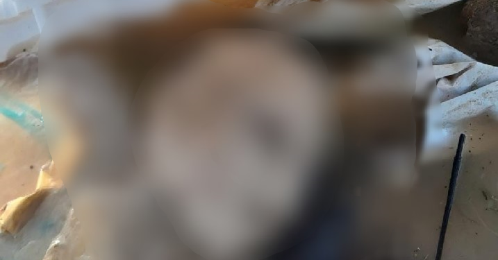 Após tronco, cabeça de homem é encontrada boiando na Manaus Moderna