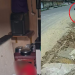 Vídeo mostra ‘Parazinho’ tentando fugir de pistoleiros; ele foi assassinado em Manaus