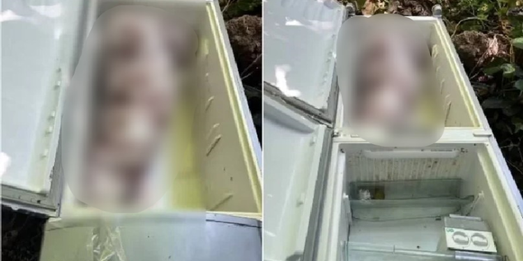 Menina de 13 anos mata a própria mãe com a ajuda do namorado e coloca corpo na geladeira