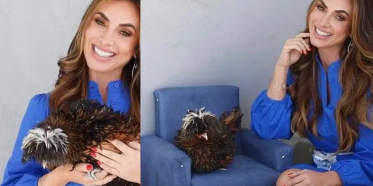 Nicole Bahls monta galinheiro e exige fidelidade: ‘um galo para cada galinha’