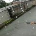 Vídeo: briga em terreiro de Umbanda acaba em morte em Manaus