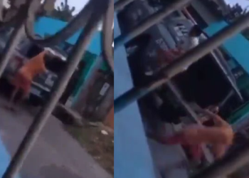 Vídeo: Em Manaus, homem ajuda o ‘parça’ a fugir de viatura da Força Tática