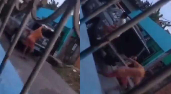 Vídeo: Em Manaus, homem ajuda o ‘parça’ a fugir de viatura da Força Tática