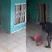 Vídeo: SSP procura homem que aparece chutando cabeça da ex no sítio