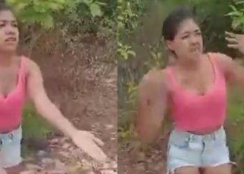 Vídeo: veja blindada apanhando e dizendo: ‘sou pilantra mesmo’