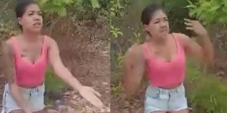 Vídeo: veja blindada apanhando e dizendo: ‘sou pilantra mesmo’
