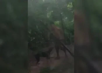 Homem é preso após abusar sexu@lm3nte de cachorro