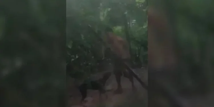 Homem é preso após abusar sexu@lm3nte de cachorro