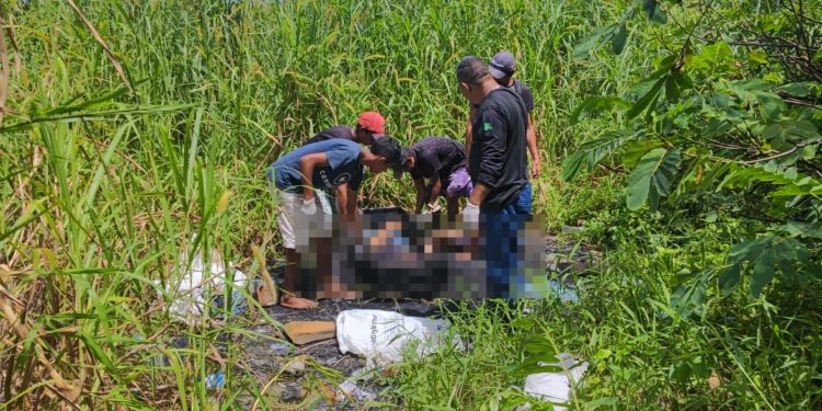 Corpo masculino é encontrado em área de mata de comunidade no ‘Jorge Texas’