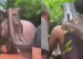 Vídeo: menores sequestram turistas e ameaçam matar vítimas no mato
