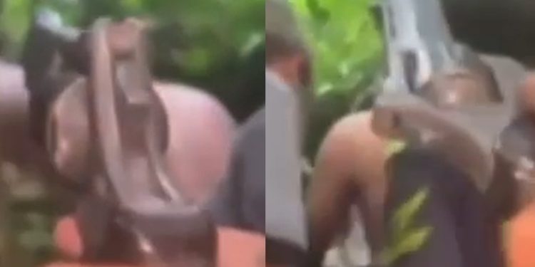 Vídeo: menores sequestram turistas e ameaçam matar vítimas no mato