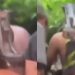 Vídeo: menores sequestram turistas e ameaçam matar vítimas no mato