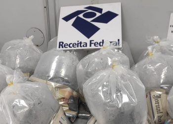 Mulher é presa tentando levar 12 arraias de Manaus para São Paulo