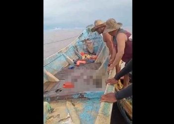 Vídeo: polícia ainda não sabe quantos corpos estavam em canoa achada na Amazônia