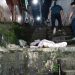 Briga entre cunhados acaba com mulher degolada em Manaus