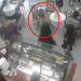 Homem que apalpou três mulheres em supermercado de Manaus é do Incra e foi denunciado na ALE-AM