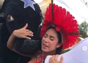 Vídeos: Isabelle abraça os bois Caprichoso e Garantido ao chegar em Manaus com festa acalorada