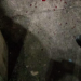 Cena forte: Homem é assassinado com balaço no meio da cabeça no bairro Lago Azul