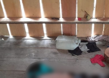 No interior do AM, dupla é encontrada morta amarrada, de bruços e com vários tiros