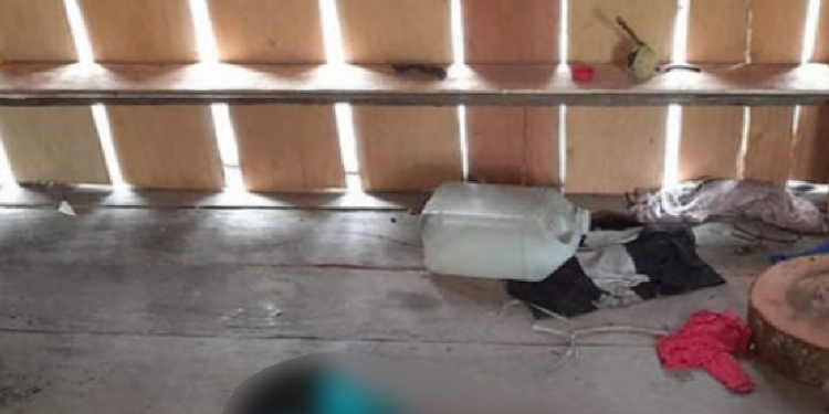No interior do AM, dupla é encontrada morta amarrada, de bruços e com vários tiros