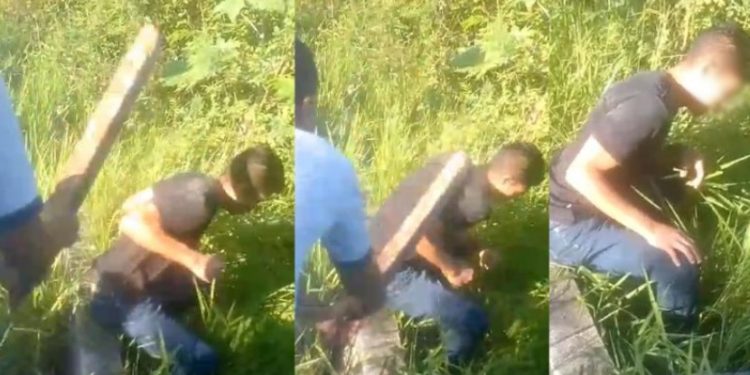 Vídeo: suspeito de roubo apanha de traficantes e chora: ‘cala a boca, capeta’