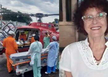 Escritora perde o braço e a orelha após ataque de três Pitbulls