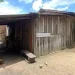 Filha de 4 anos presencia os pais serem assassinados a tiros dentro de casa