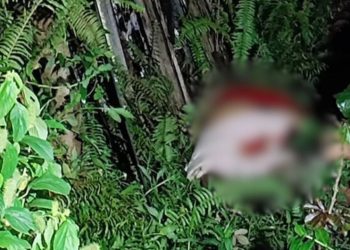 Homem foge para o mato, mas é alcançado e executado no Nova Cidade