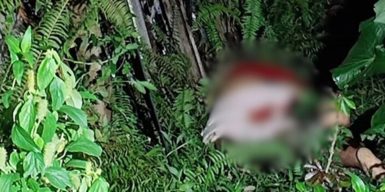 Homem foge para o mato, mas é alcançado e executado no Nova Cidade