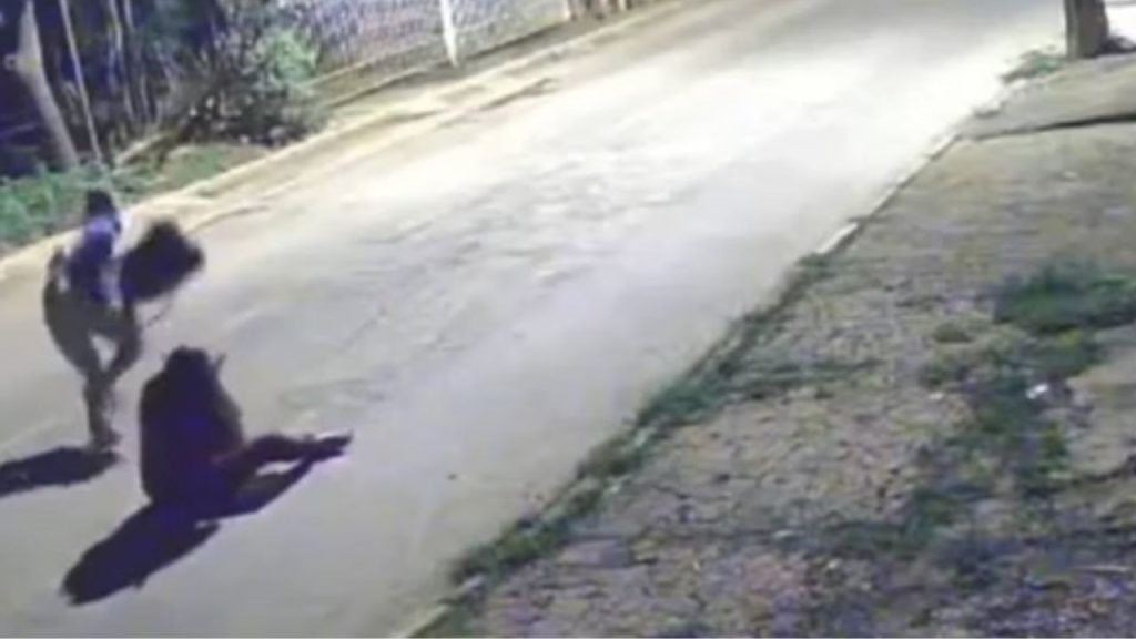 Vídeo: Mulher é covardemente agredida na frente de casa durante assalto e criminoso foge impune