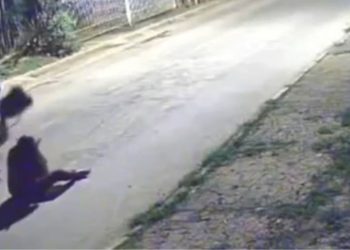 Vídeo: Mulher é covardemente agredida na frente de casa durante assalto e criminoso foge impune