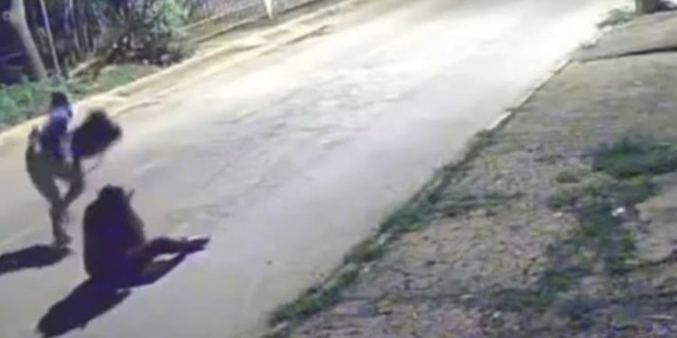 Vídeo: Mulher é covardemente agredida na frente de casa durante assalto e criminoso foge impune