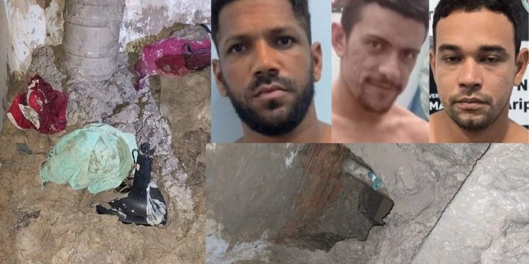 Policiais apelam e pedem ajuda para achar presos que cavaram buraco na cela e fugiram no Amazonas