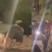 Vídeo: entre tapas e socos, homens brigam em boate de Manaus por causa de 'branquinha loirinha'