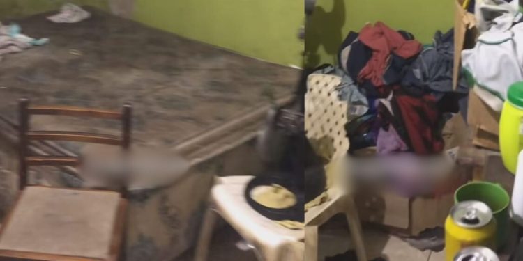 Vizinhos do bairro Vila da Prata chamam a polícia após mãe abandonar os três filhos para beber em bar; vídeo