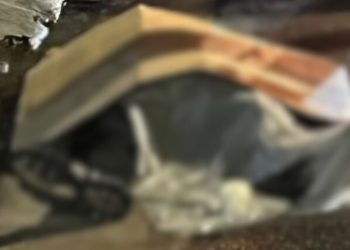 Briga e morte: homem é esfaqueado no bairro Praça 14 após se envolver em discussão