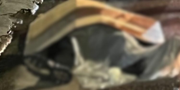 Briga e morte: homem é esfaqueado no bairro Praça 14 após se envolver em discussão