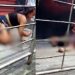 Esposa chora diante do corpo do marido morto a tiros em bar da zona leste de Manaus