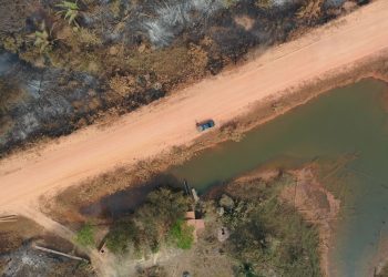 TCE-AM inicia auditoria operacional para avaliar controle da gestão florestal no estado